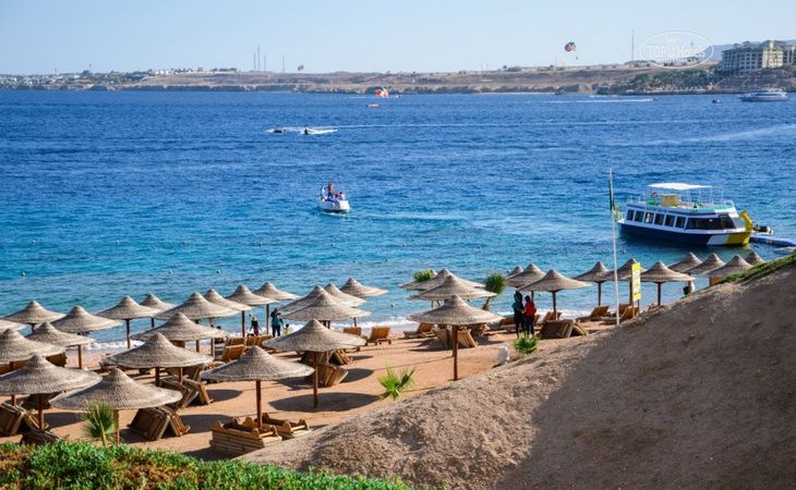 Пляжный отдых в Египте из Узбекистана — лучшие курорты Красного моря